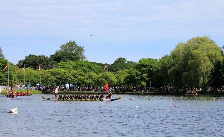 People on a dragon boat on the water, Canada Dragon Boat concept.
