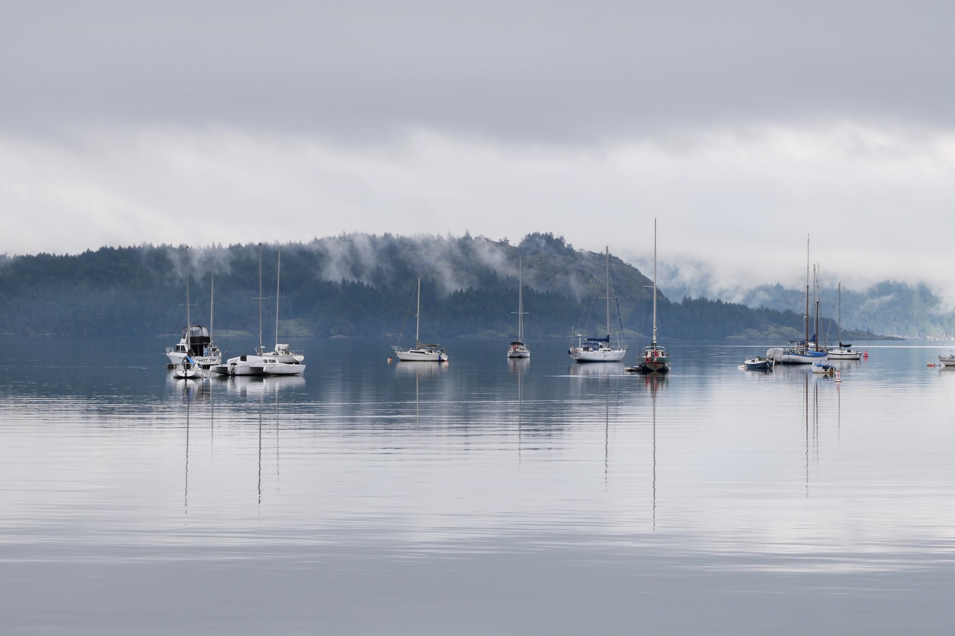 Multiple sailboats on the waters.