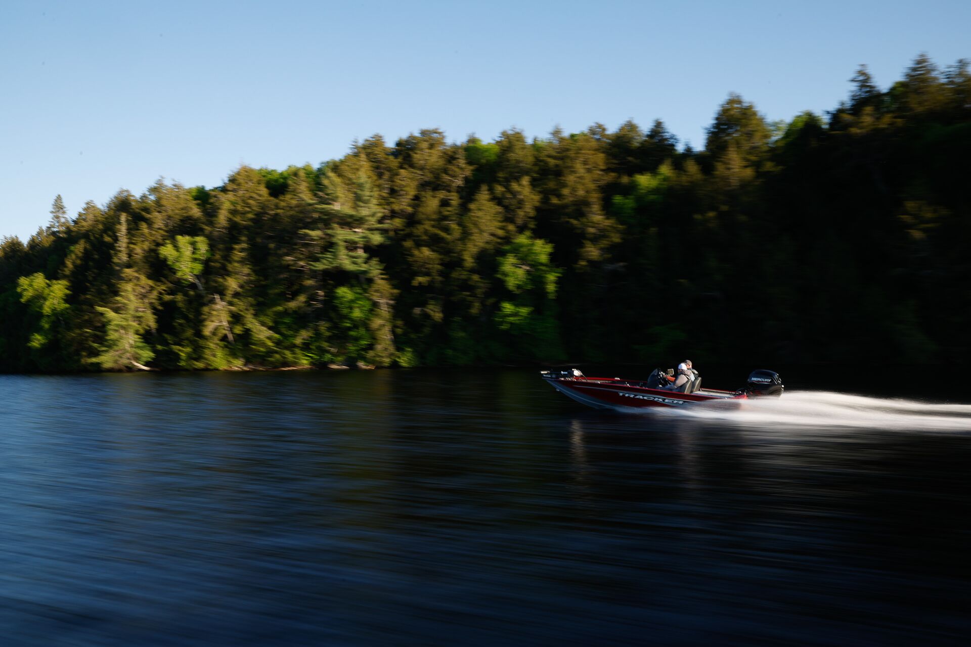 Bass boat moving quickly along the tree line of a lake, Alberta boating license concept. 