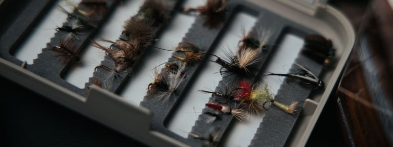 Fishing flies in a fly box, Father's Day Gift Ideas concept. 
