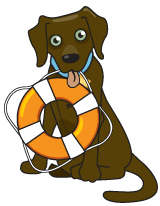 Illustration of a Type IV flotation device.