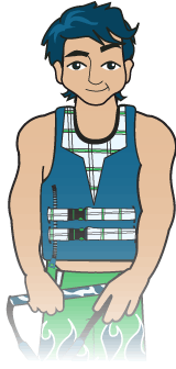 Illustration of a Type V pfd